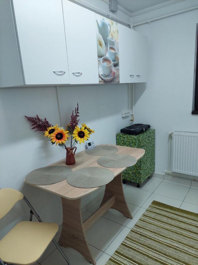 Apartament Octav เดวา ภายนอก รูปภาพ